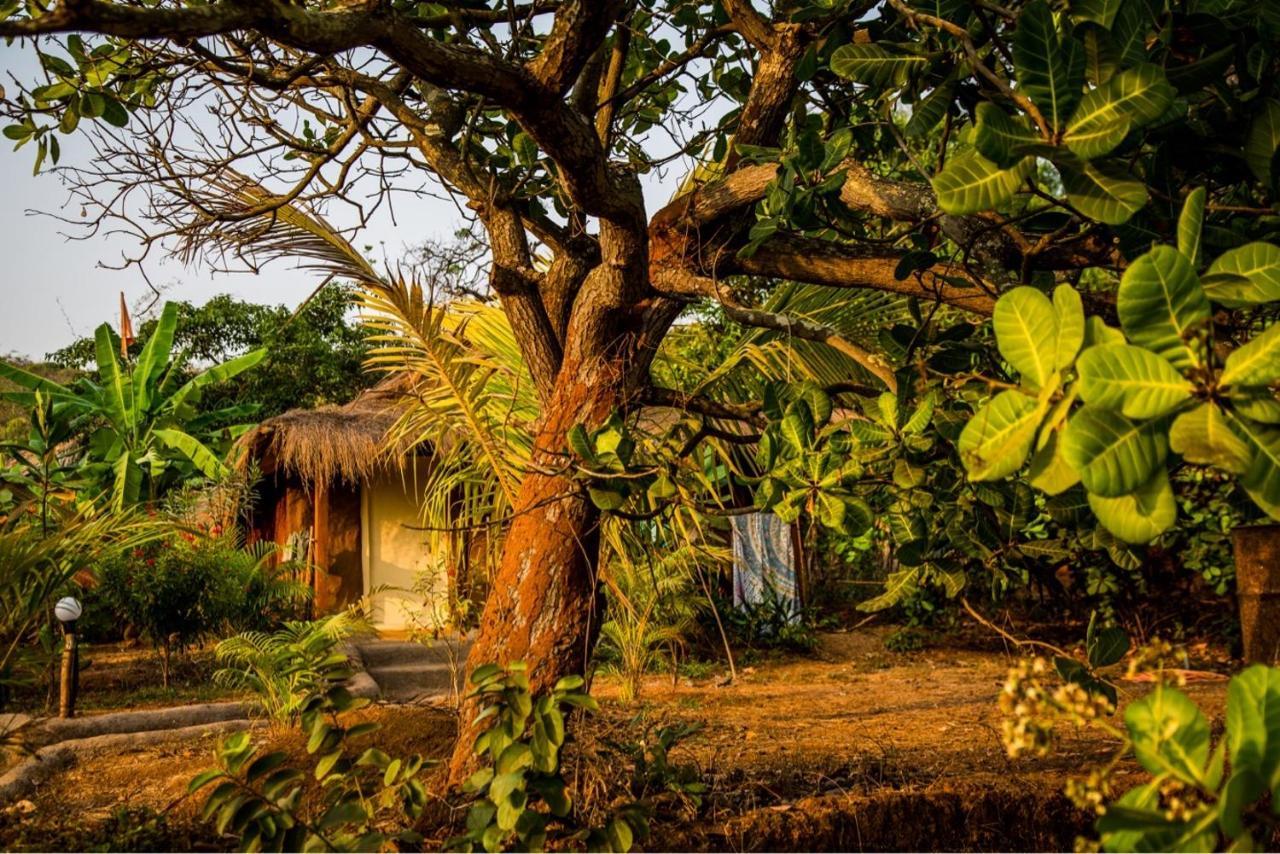 Banyan Tree Yoga Hotell Mandrem Eksteriør bilde